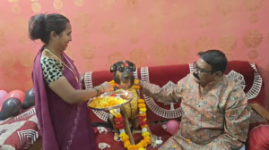 बुरहानपुर: इंसानियत की खूबसूरत मिसाल! जब चश्मा पहनकर ‘शेरू’ ने काटा अपना बर्थडे केक