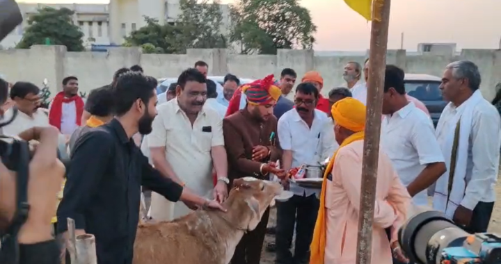 विवाह से पहले गऊ माता का 'छप्पन भोग',